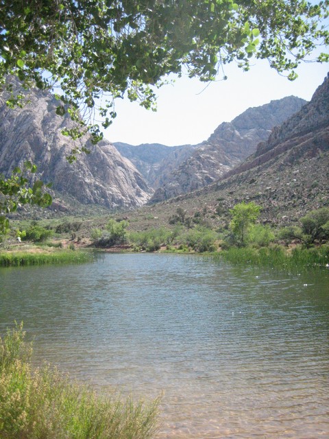 Spring Mountain Ranch Park