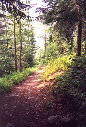 The bike trail [Yashica T4S]